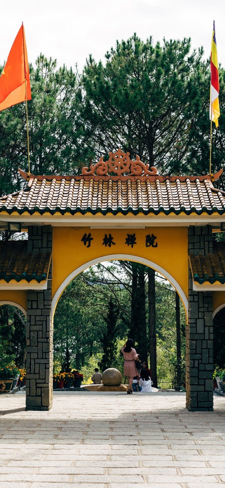 大乐透走势走势图新浪 App 检索结果界面，输入一组号码后列出该组合在历史期次中出现的位置列表